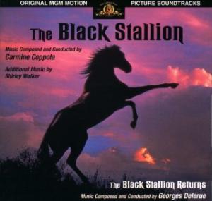 The Black Stallion
